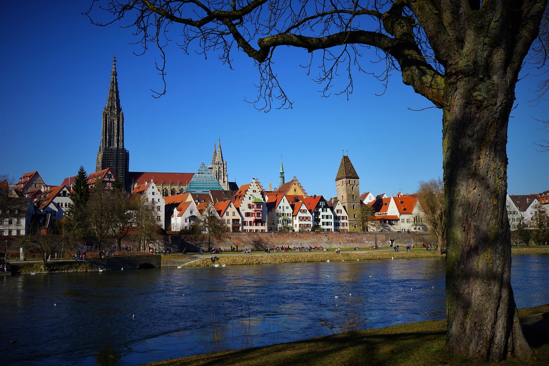 neu-ulm_75478.jpg
