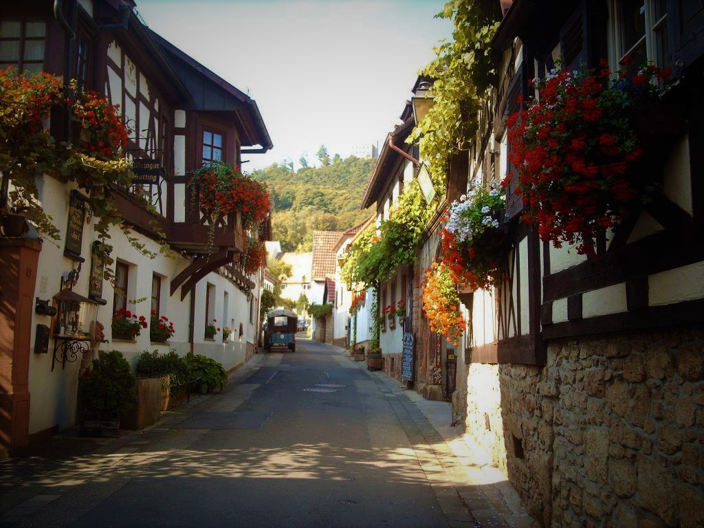 neustadt_an_der_weinstrae.jpg